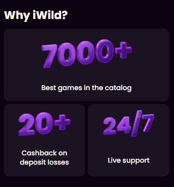 iwild casino official website
